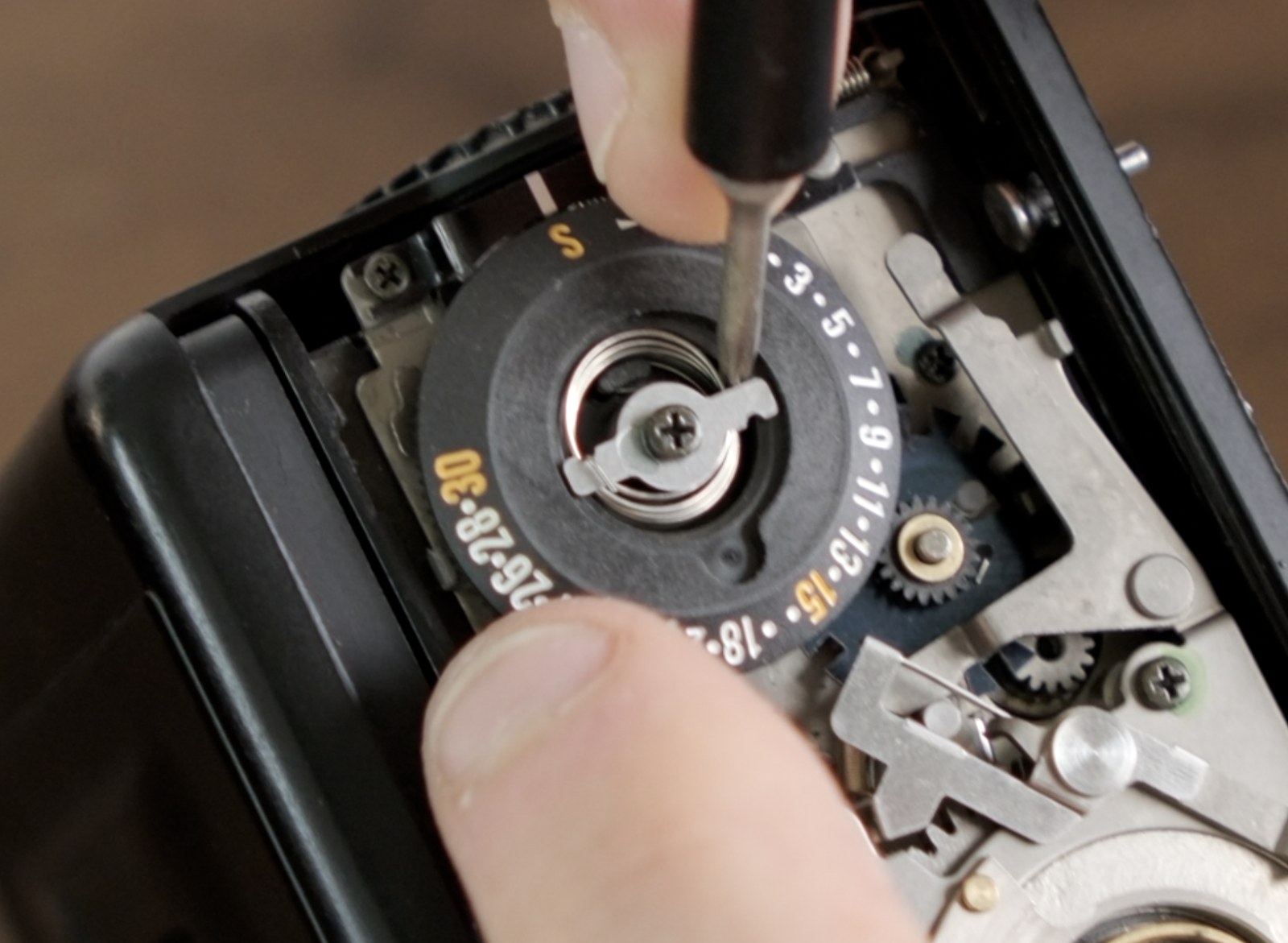 Frame counter return spring tensioned around S in the open film back.