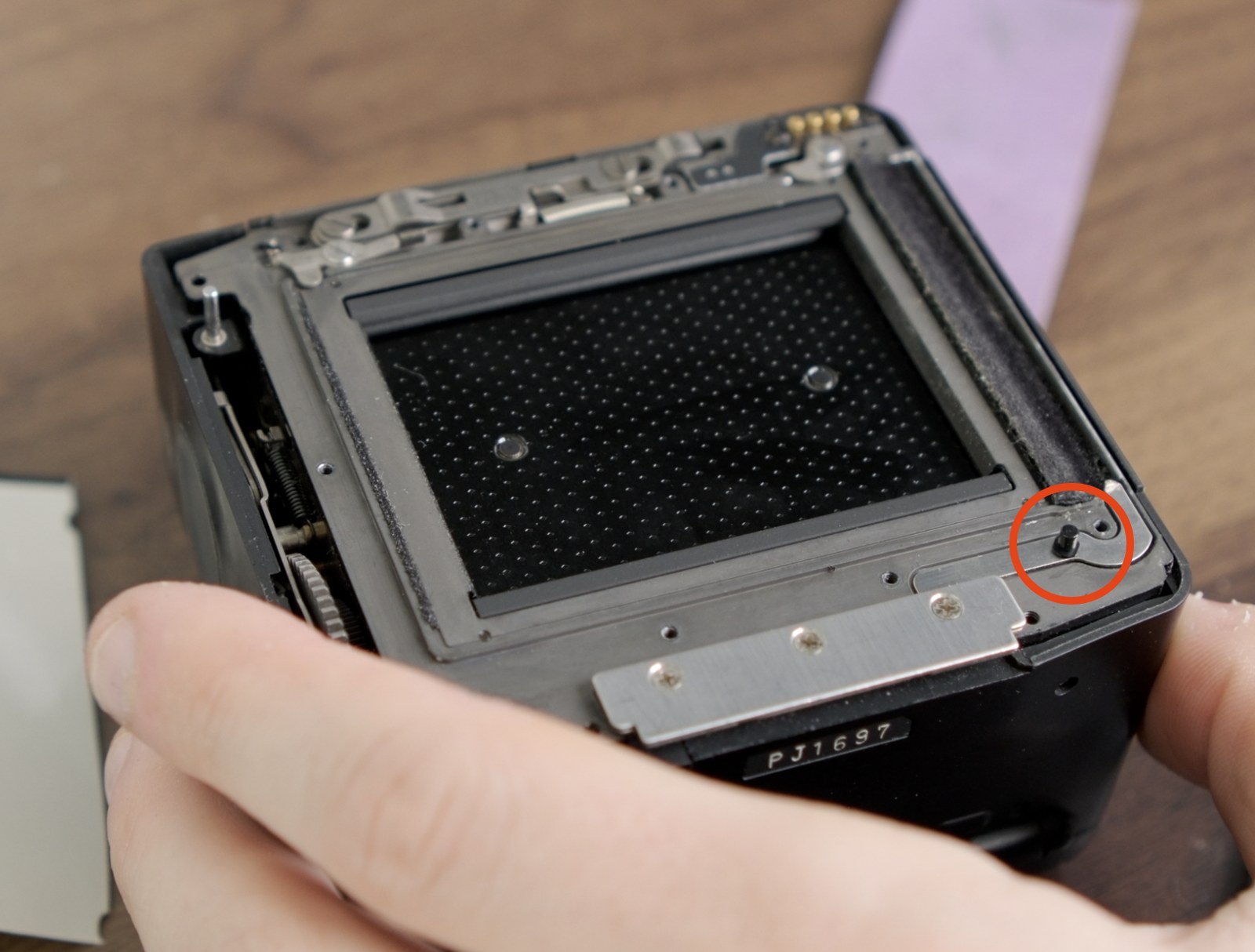 Loose darkslide-release peg circled in its correct position on the film back.