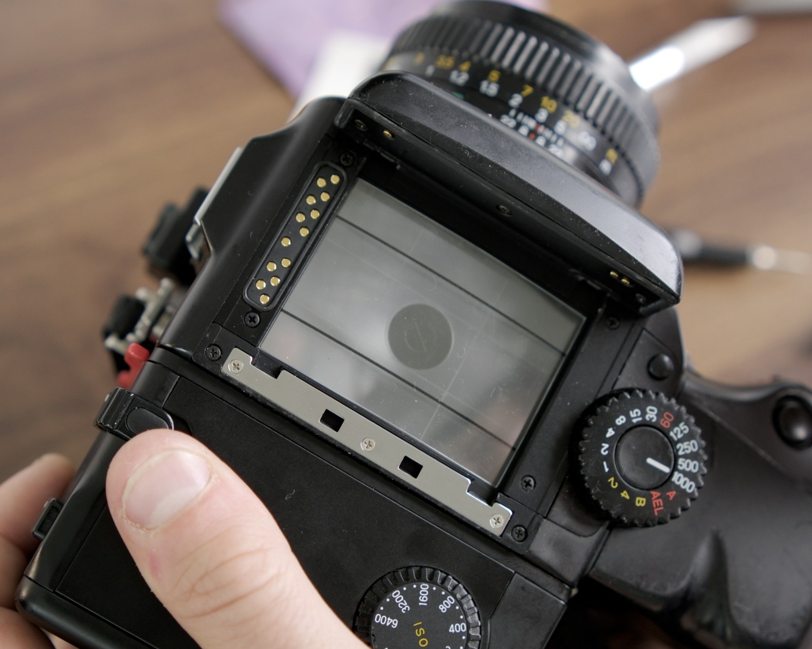 MamiyaPan Pro viewfinder overlay sitting on the focusing screen under the prism.