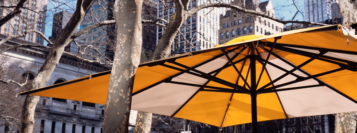 Yellow café umbrella against bare trees and city buildings, shot on the MamiyaPan Pro half-frame kit